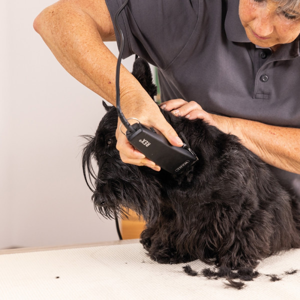 Schermaschinenset Rex 1230