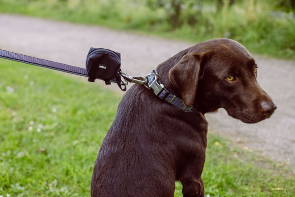 Dirt bag dispenser "RIO"