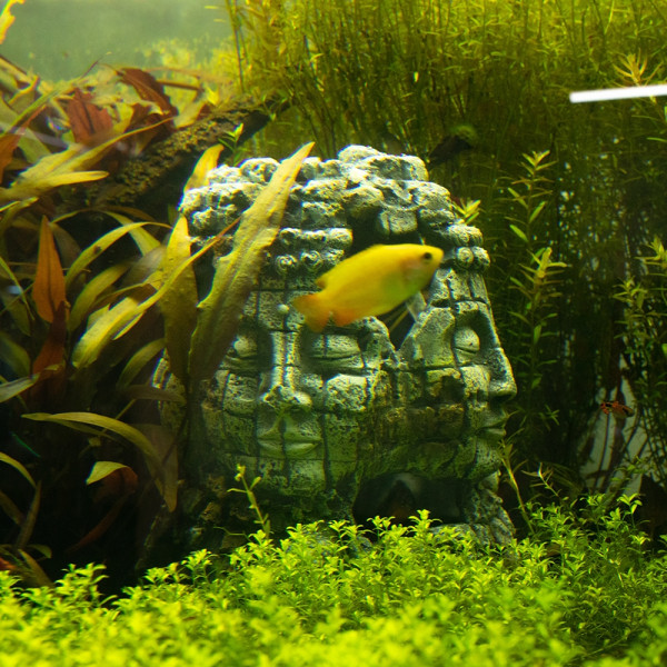 Aqua Ornaments "Ruine mit Gesichtern"