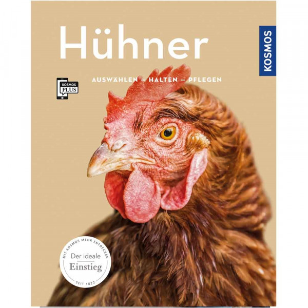Steinkamp, Hühner