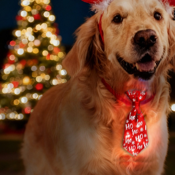 XMAS Tie flashing