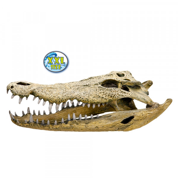 Aqua Ornaments "KROKODIL SCHÄDEL"