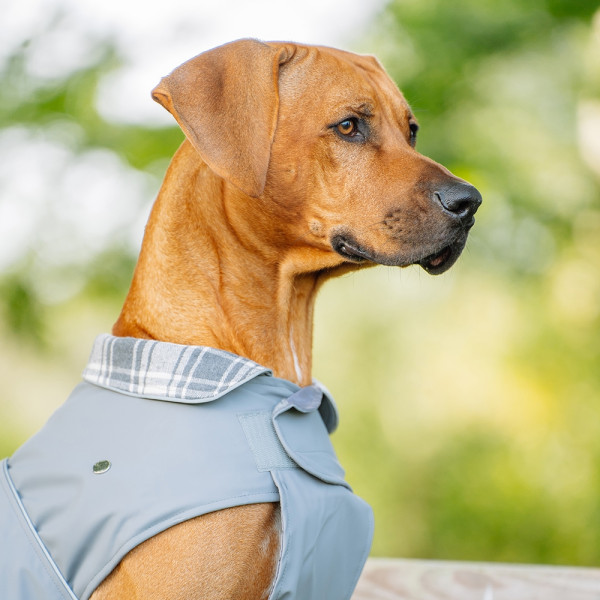 „SELA“ Hundemantel