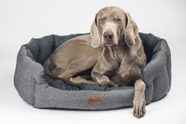 Komfortbett oval „JOSI“ grau