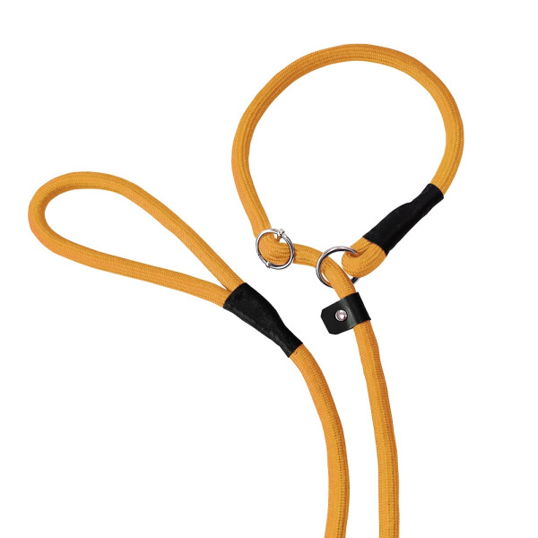 Retriever-leash "Fun Uni"