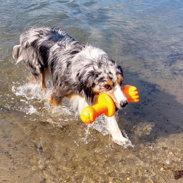 TPR buoy ‘Robbi’