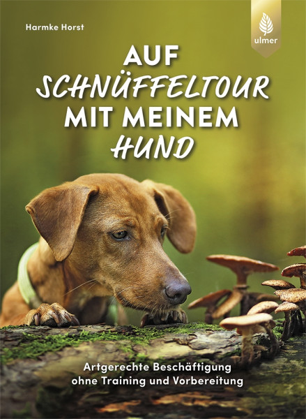 Auf Schnüffeltour mit meinem Hund