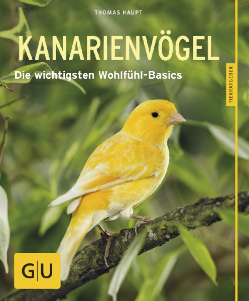 Kanarienvögel, glücklich & gesund