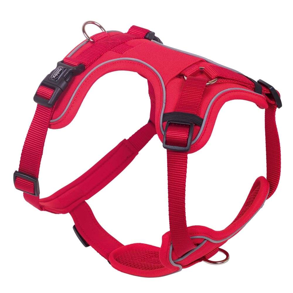Nobby dog harness hot sale