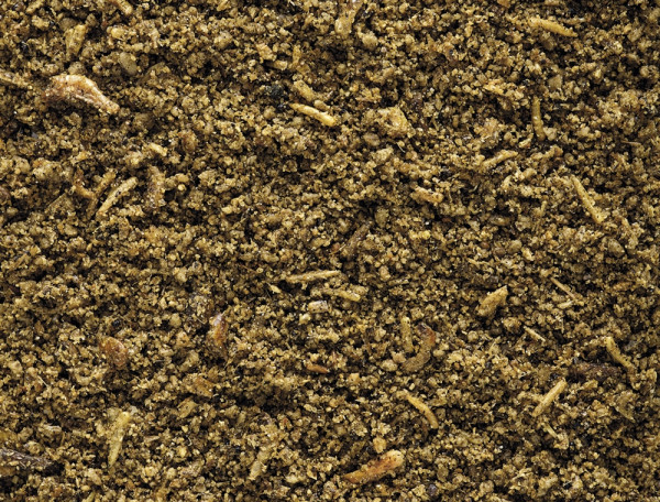 NutriBird Insect Patee