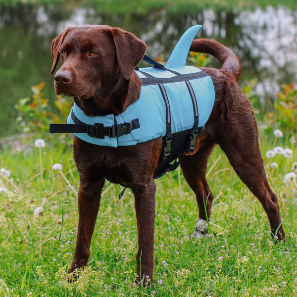 Schwimmhilfe "Sharki"