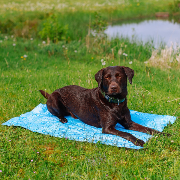 Nobby Cooling mat "Bubble"