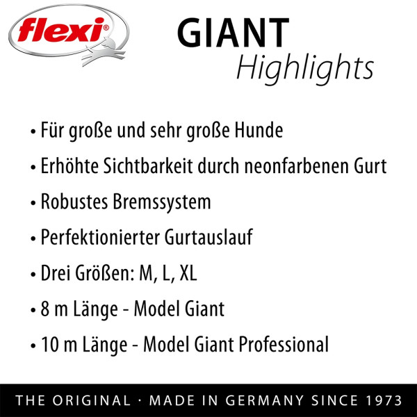 flexi Giant L Professional 10 m