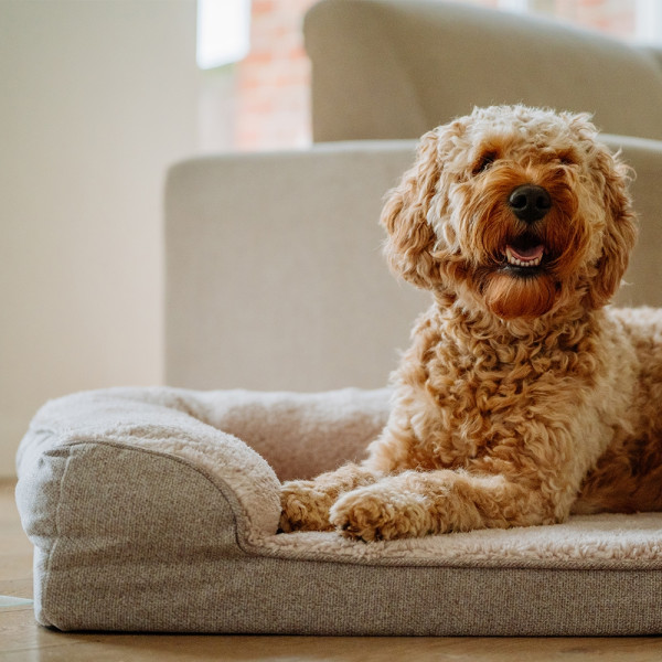 Orthopädisches Sofa eckig "CALBU"