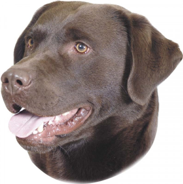 Aufkleber Labrador braun