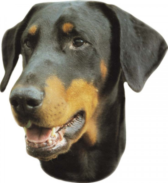 Sticker Doberman