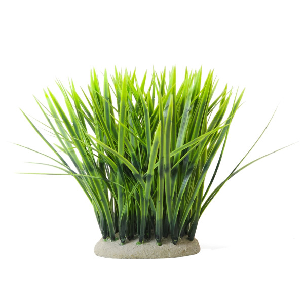 Aqua Ornaments "VALLISNERIA"