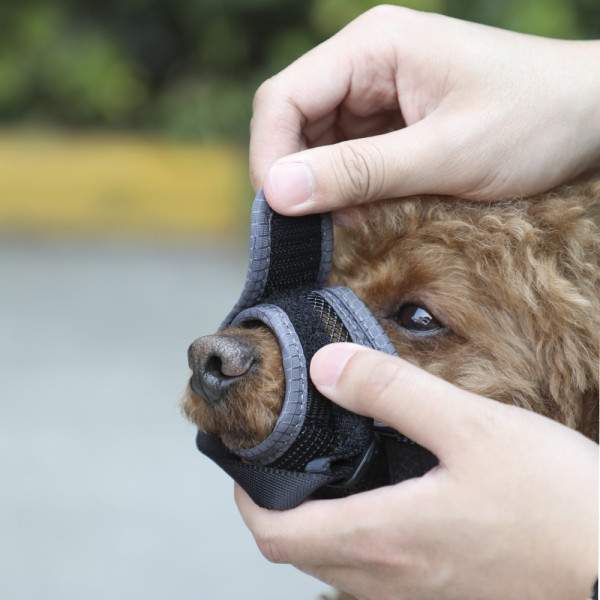 Muzzle adjustable