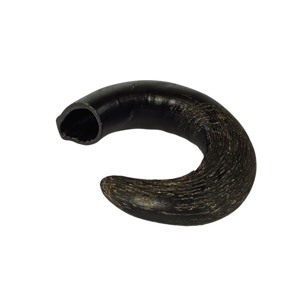 Buffalo Horn