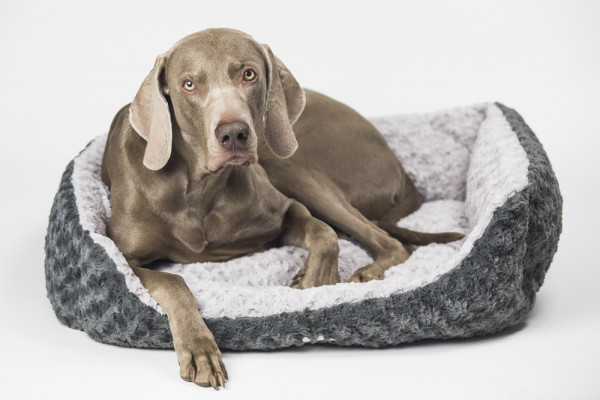 Comfort bed square "SEOLI"