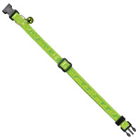 Katzenhalsband Neon Katzenhalsband Neon