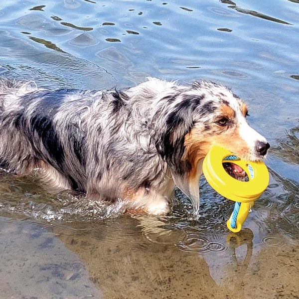 TPR Ring mit Seil und Griff