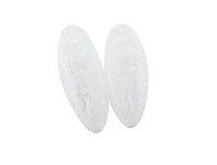 Cuttle fish Cuttle fish