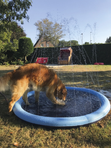 Splash Pool
