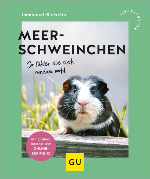 Meerschweinchen, So fühlen sie sich rundum wohl