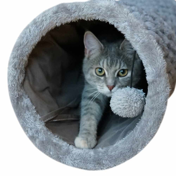 cat tunnel "Diamond"