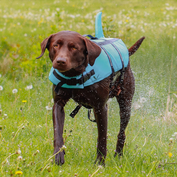 Schwimmhilfe "Sharki"