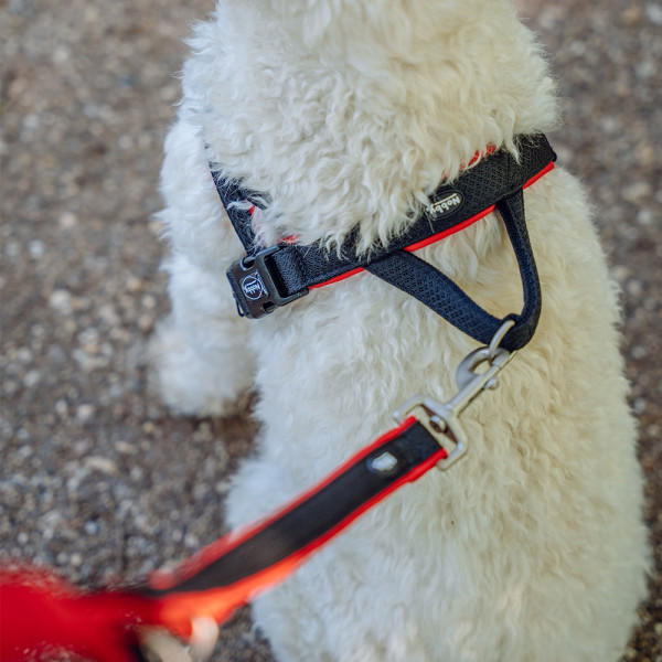 Norwegergeschirr "Mesh Preno"