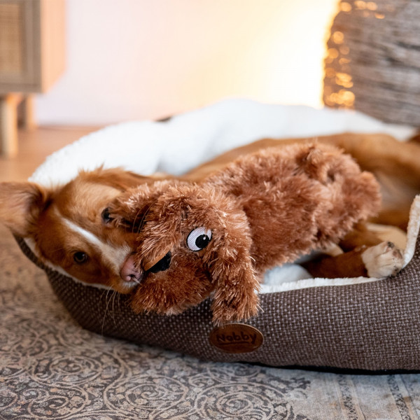 Plüsch Hund "Schlappi"