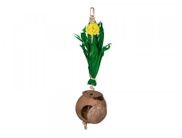 Coconut house with corn leaves