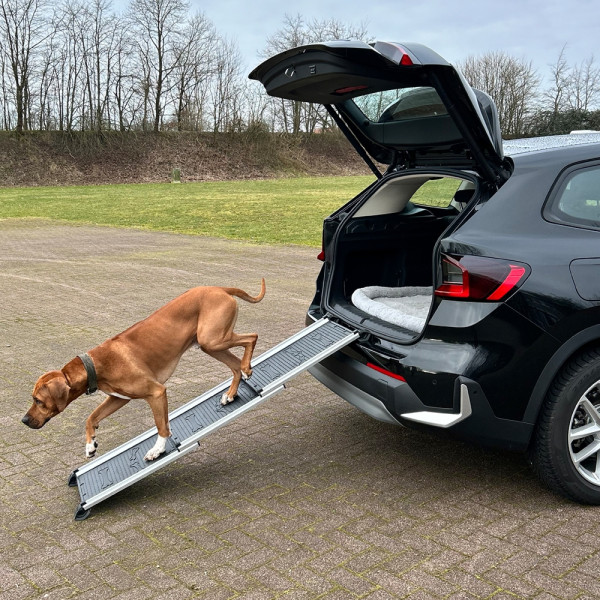 aluminium telescope ramp