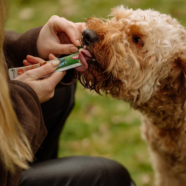 StarSnack LICKY Duck