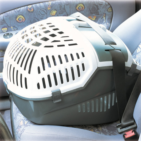 Transportbox "Avior"