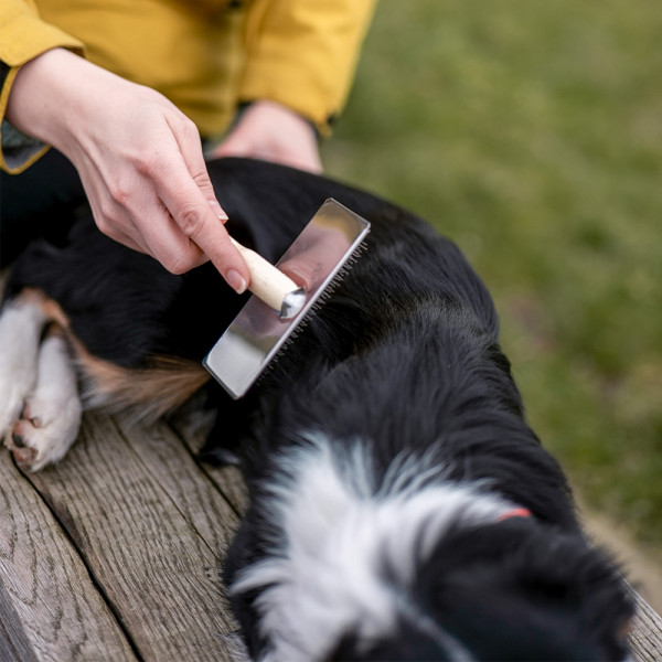 Nature Line slicker brush