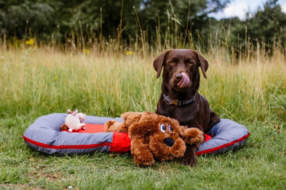 Tipi pour chien Nobby Pet Linou