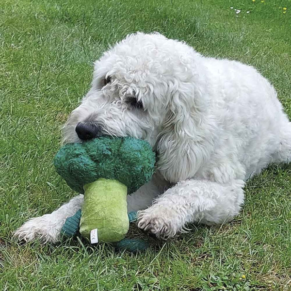 Plush Vegetable Broccoli