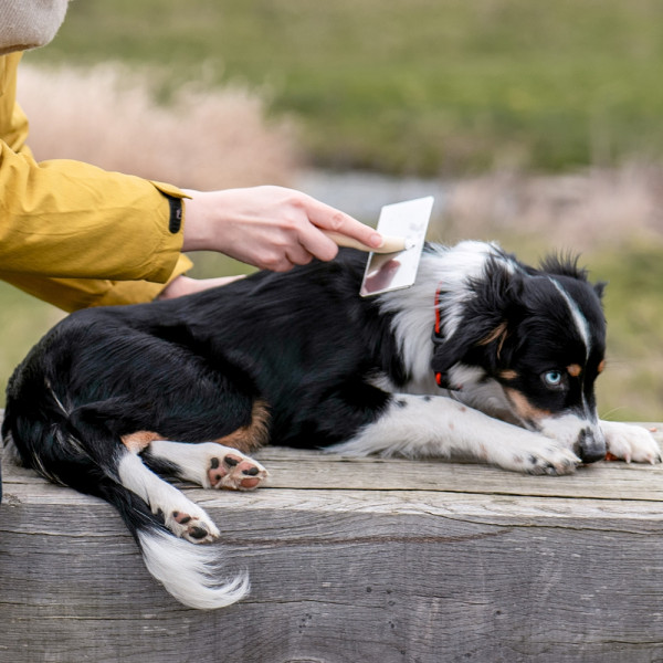 Nature Line slicker brush
