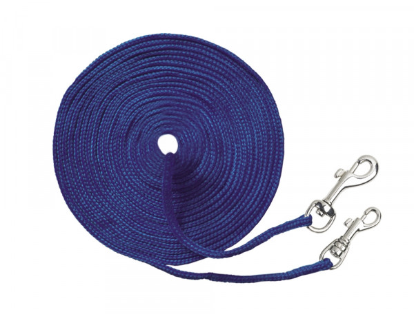 Cat lead