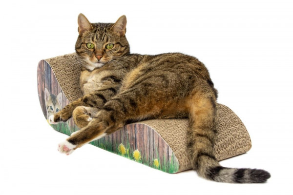 Nobby Kratzbrett "Lounge"