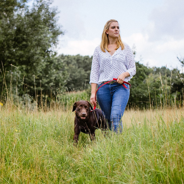 Training leash "Classic Preno Royal"