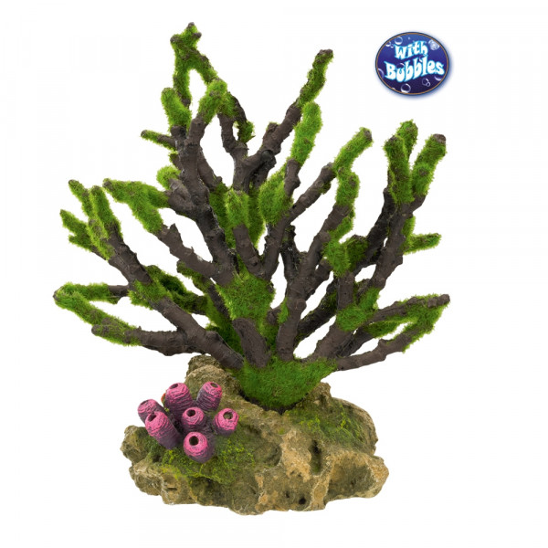 Aqua Ornaments "Koralle mit Moos"