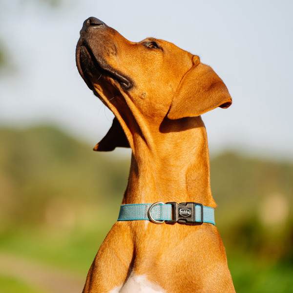 "Full Reflect" Halsband