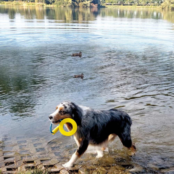 TPR Ring mit Seil und Griff