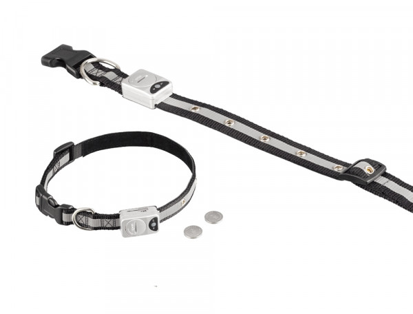 LED Blinkhalsband