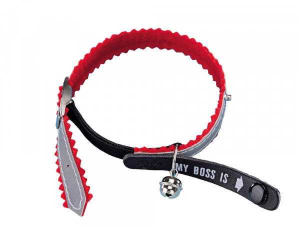 Adress-Katzenhalsband "My Boss is"