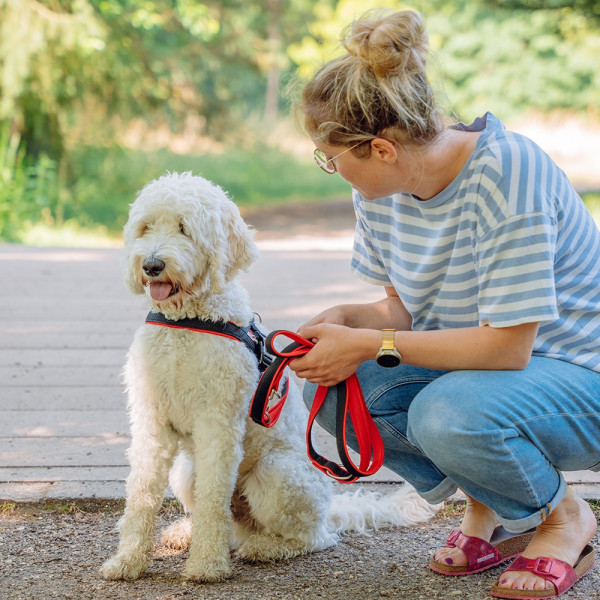 Training Leash "Mesh Preno"